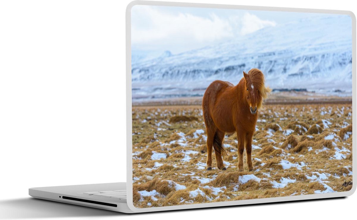 Laptop sticker - 10.1 inch -  een IJslander paard in de winter