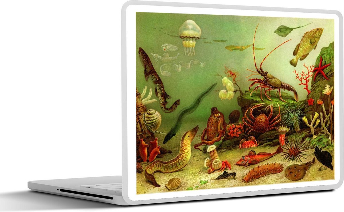 Laptop sticker - 10.1 inch - Illustratie van een onderzees ecosysteem