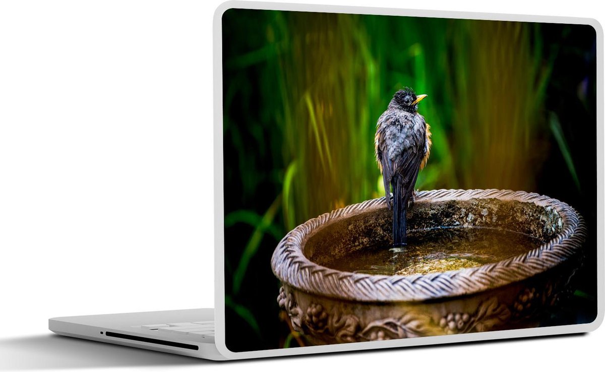 Laptop sticker - 10.1 inch - Achterkant van een roodborstje op een vogelbadje