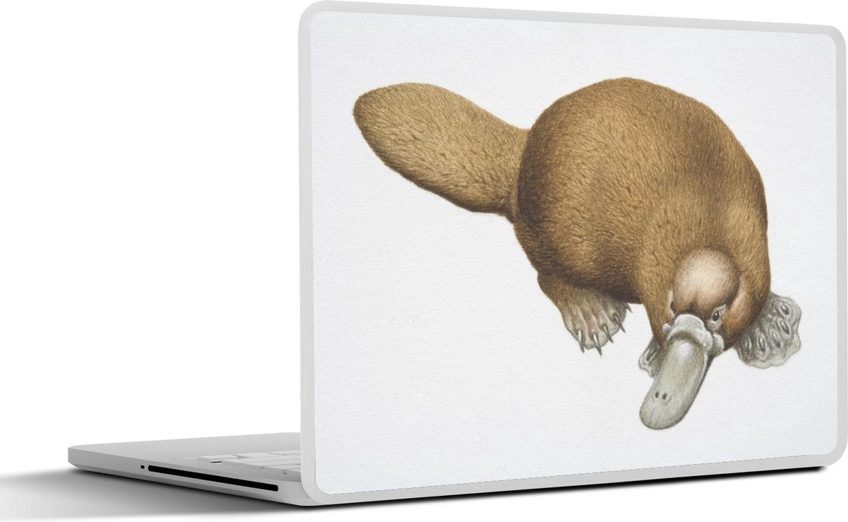 Laptop sticker - 10.1 inch - Illustratie van een vogelbekdier