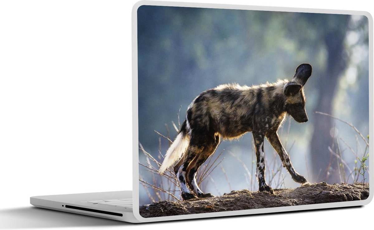 Laptop sticker - 10.1 inch - Afrikaanse wilde hond pup in Nationaal Park Mana Pools in Zimbabwe