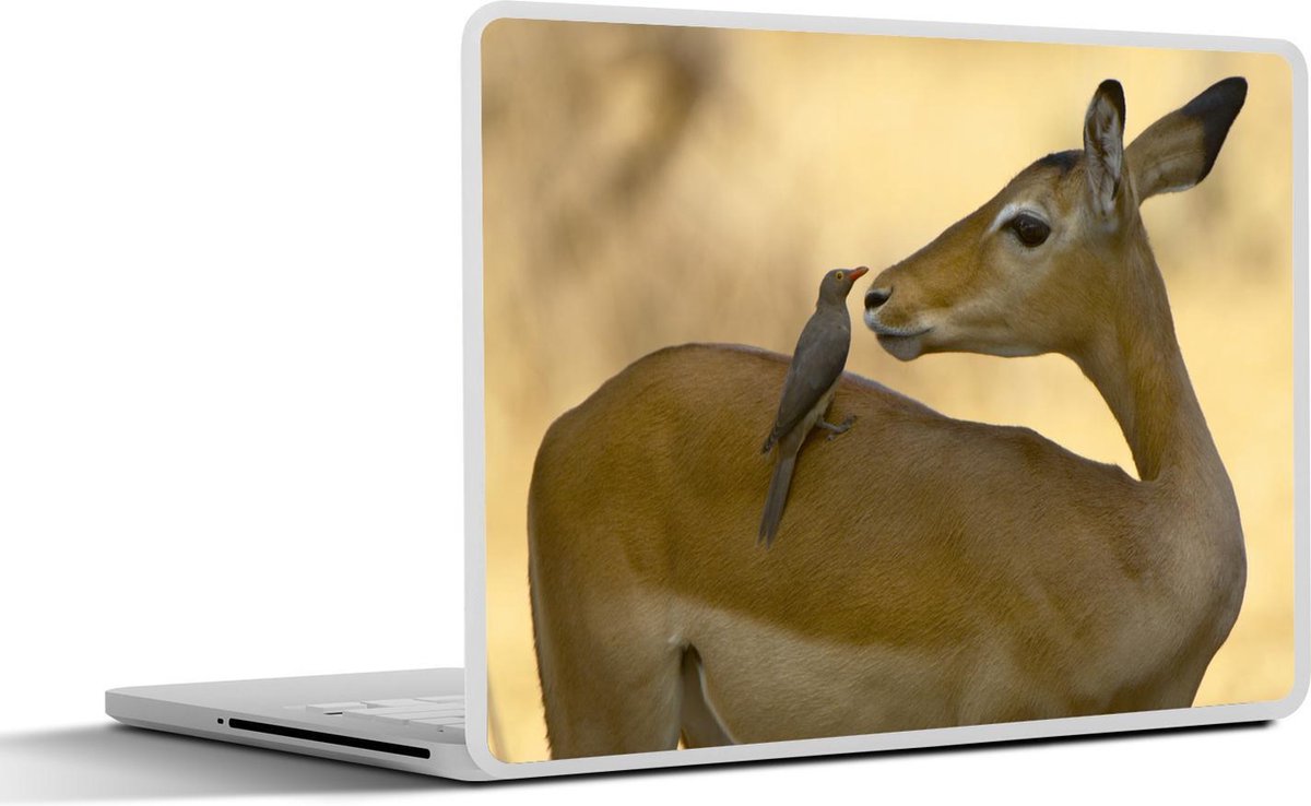 Laptop sticker - 10.1 inch - Impala en roodsnavelossenpikker