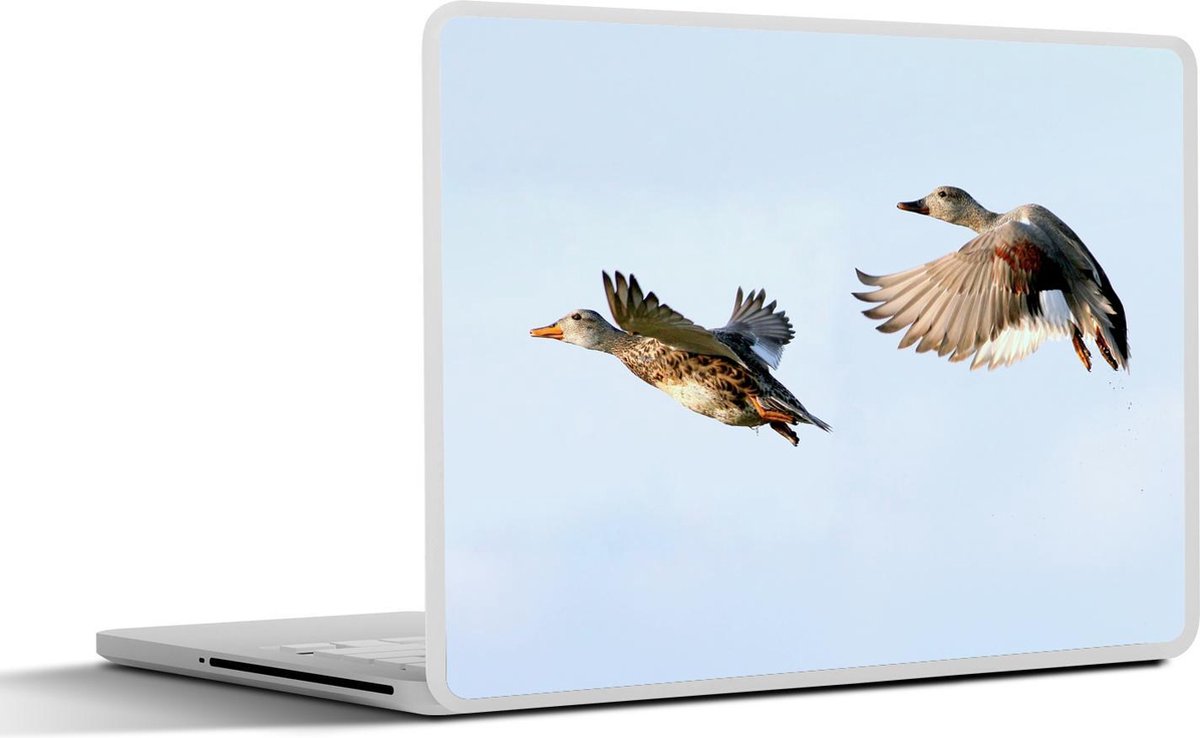 Laptop sticker - 10.1 inch - Illustratie van twee krakeenden in de lucht