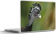 Laptop sticker - 10.1 inch -  een vrouwelijke en bruine hokko