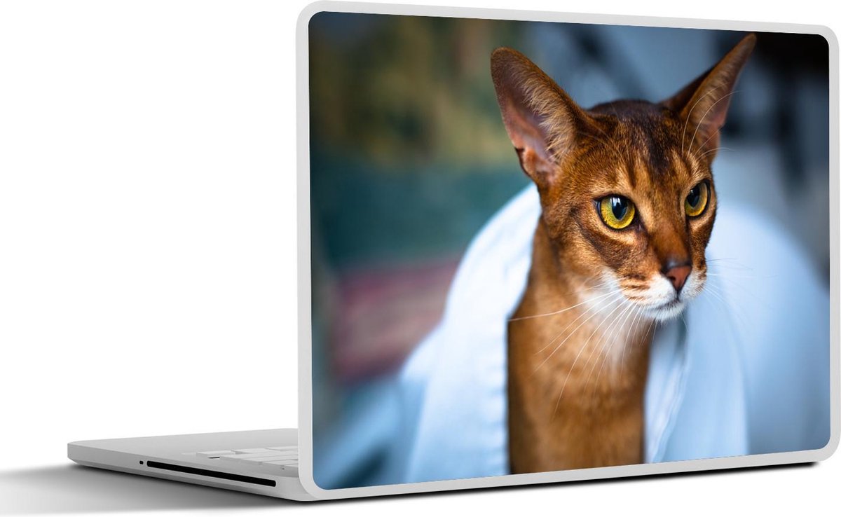 Laptop sticker - 10.1 inch - Abessijn kat onder een witte deken
