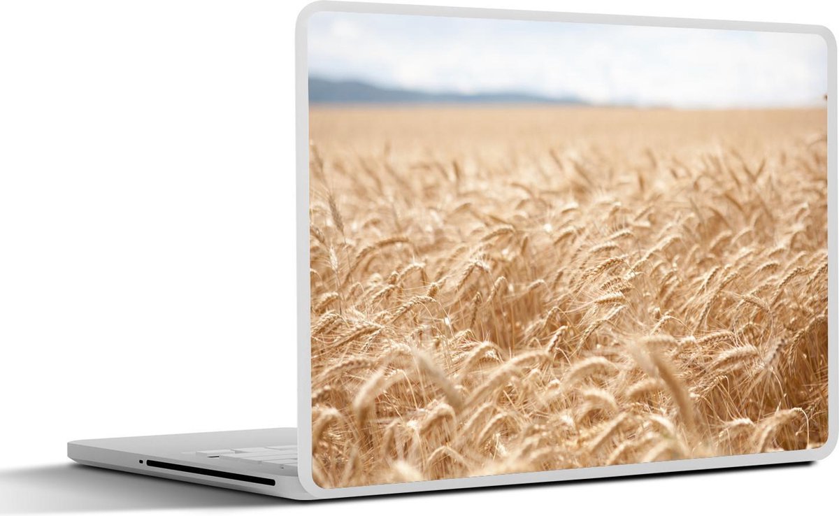 Laptop sticker - 10.1 inch - Illustratie van een granenveld met een wolkenlucht