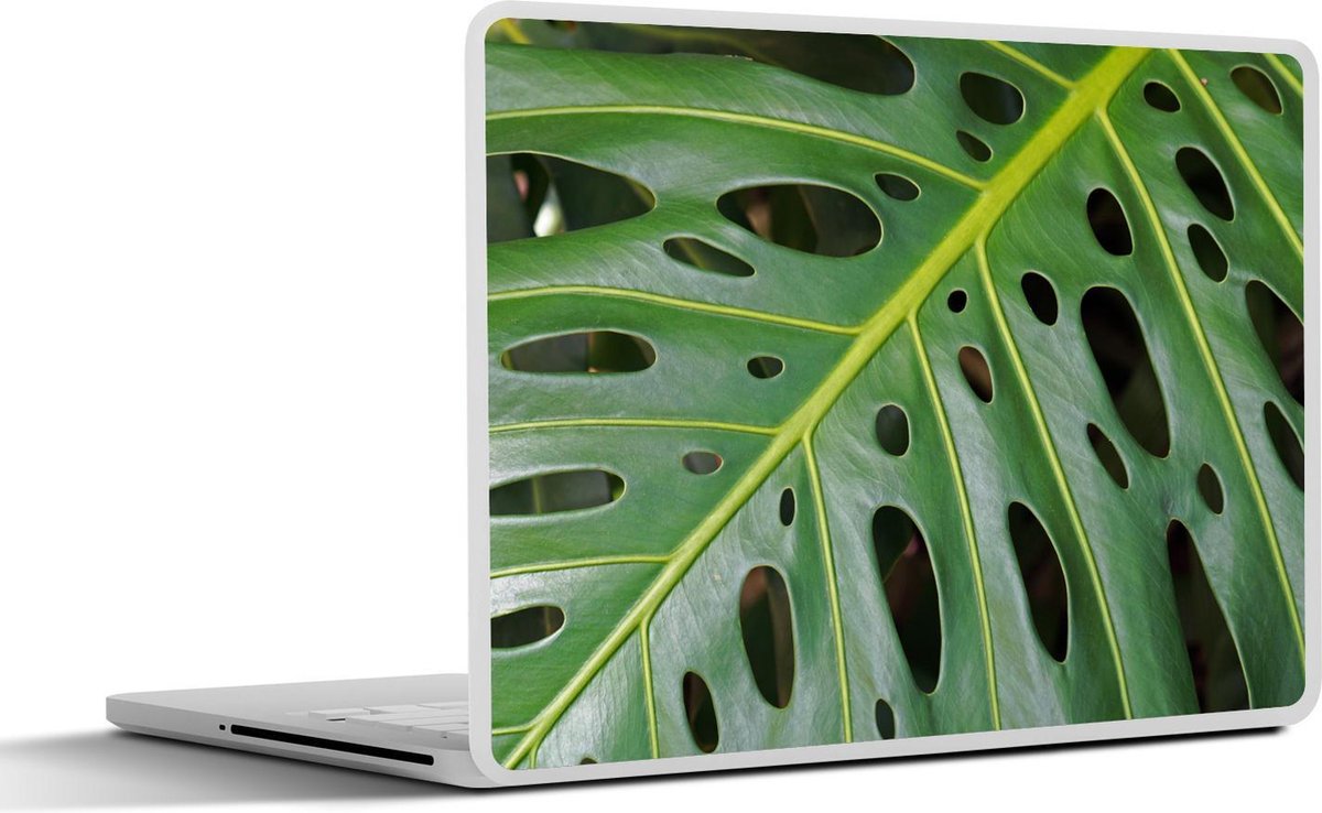 Laptop sticker - 10.1 inch - Impressie van een groen en botanisch blad