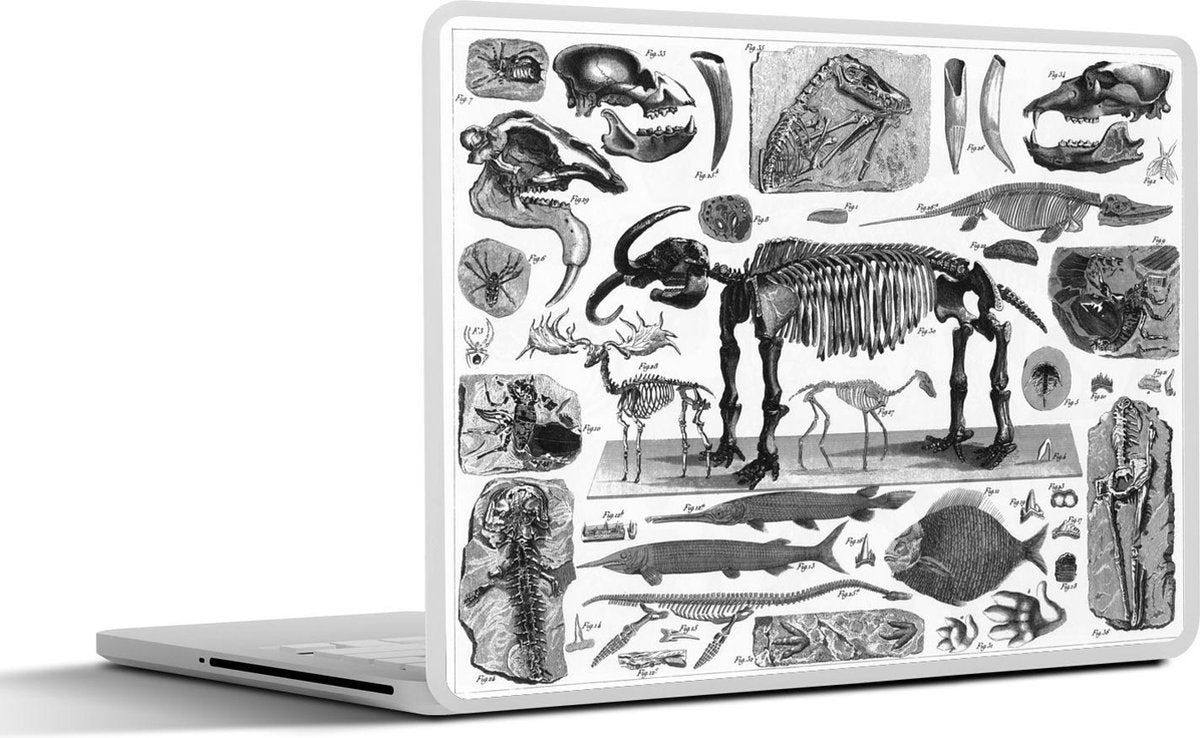 Laptop sticker - 10.1 inch - Illustraties van fossielen