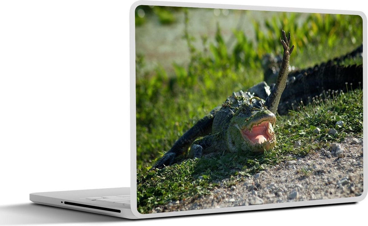Laptop sticker - 10.1 inch - Alligator - Gras - Amerika