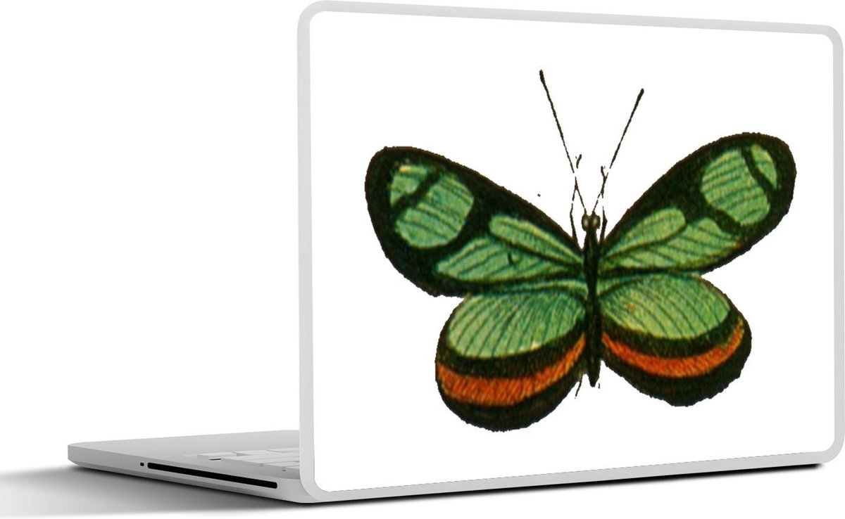 Laptop sticker - 10.1 inch - Illustratie van een groene vlinder met een oranje streep