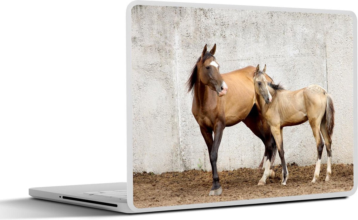 Laptop sticker - 10.1 inch - Akhal-Teke merrie en veulen