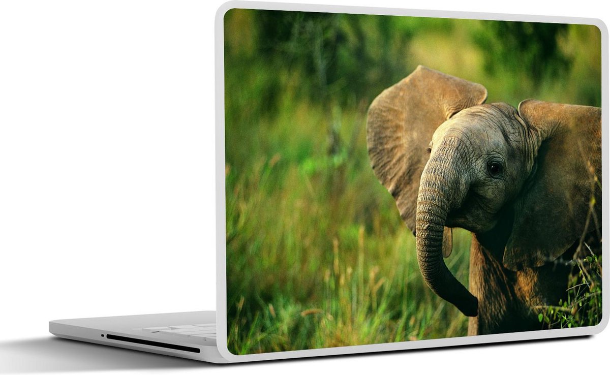 Laptop sticker - 10.1 inch - Afrikaanse olifant met flaporen