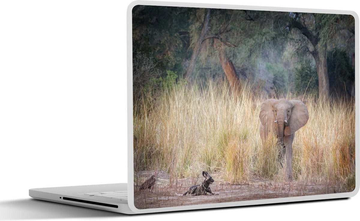 Laptop sticker - 10.1 inch - Afrikaanse wilde hond ligt vlakbij olifant