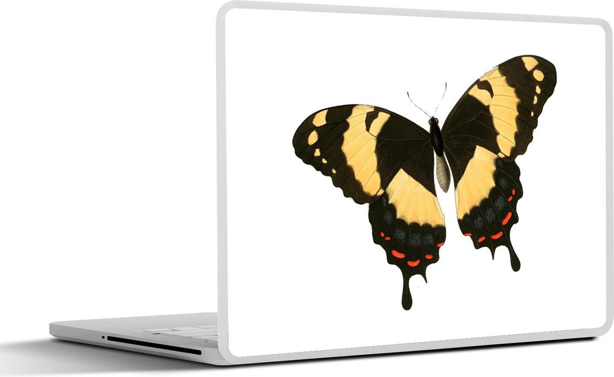 Laptop sticker - 10.1 inch - Illustratie van een Papilio homerus vlinder