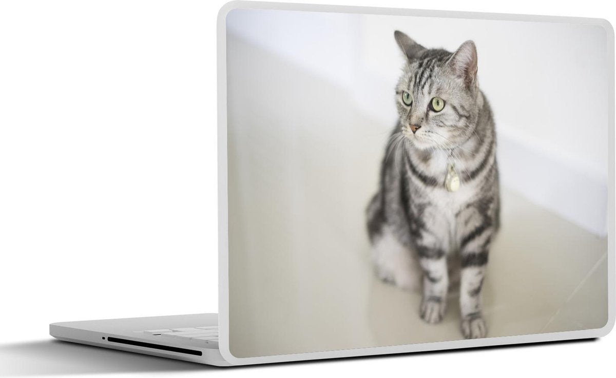 Laptop sticker - 10.1 inch - Amerikaanse Korthaar kitten