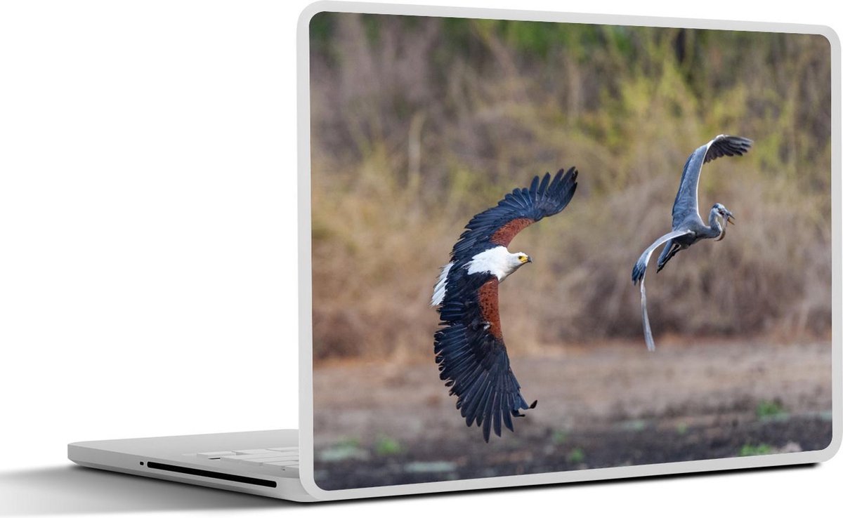 Laptop sticker - 10.1 inch - Afrikaanse zeearend vliegt blauwe reiger achterna in Nationaal Park Mana Pools in Zimbabwe