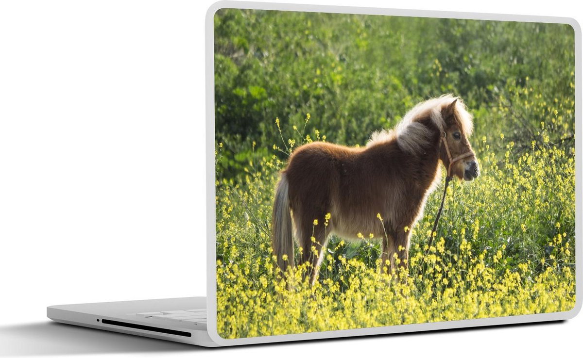 Laptop sticker - 10.1 inch -  pony in het veld