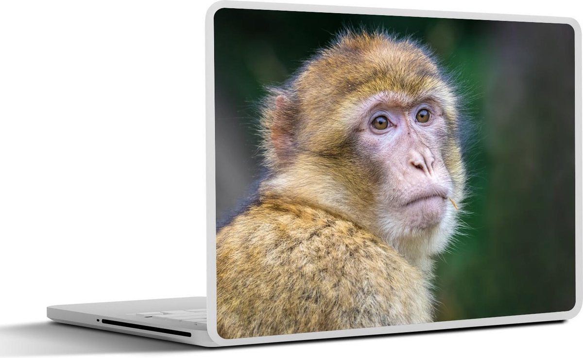 Laptop sticker - 10.1 inch -  een makaak aap
