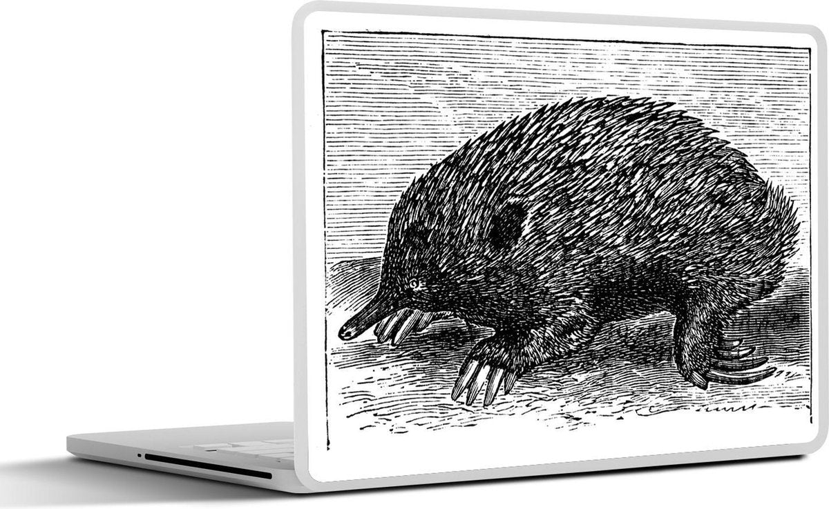 Laptop sticker - 10.1 inch - Illustratie van een mierenegel in zwart-wit