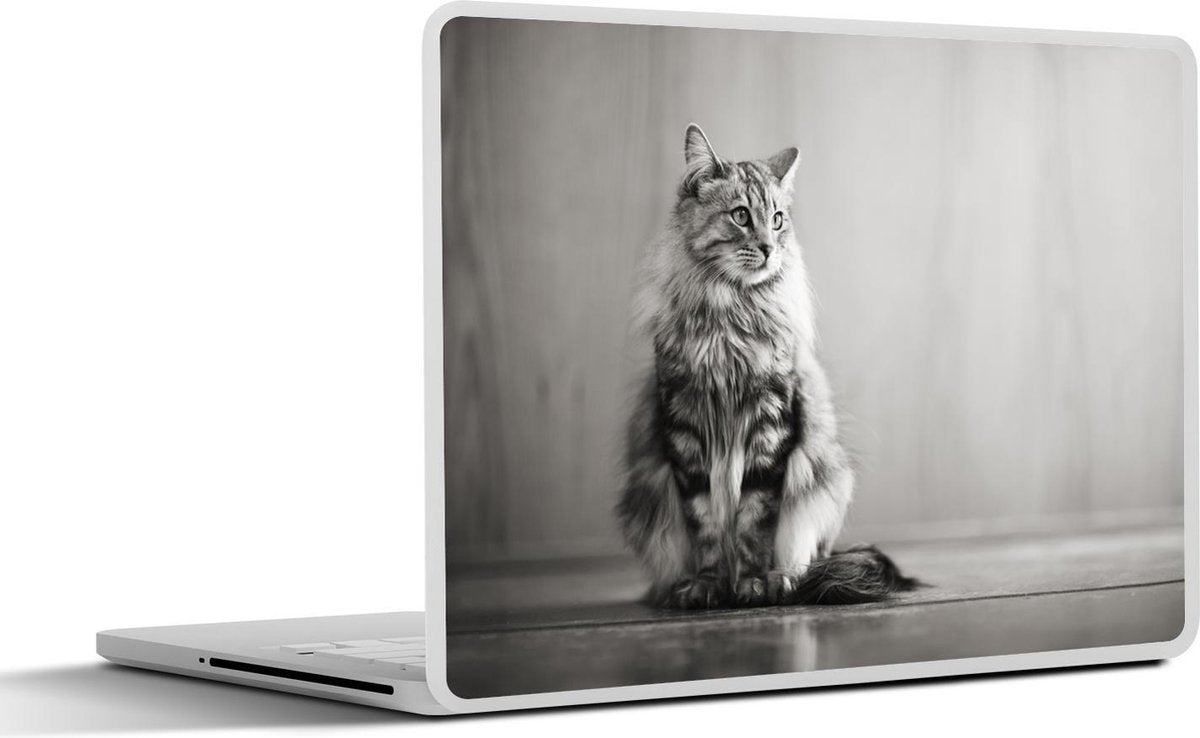 Laptop sticker - 10.1 inch -  een kat