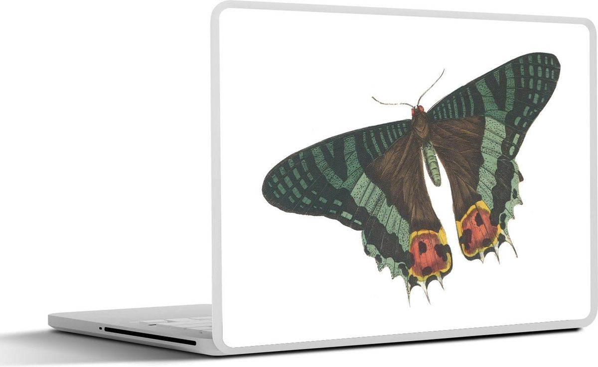 Laptop sticker - 10.1 inch - Illustratie van een groene met zwarte vlinder
