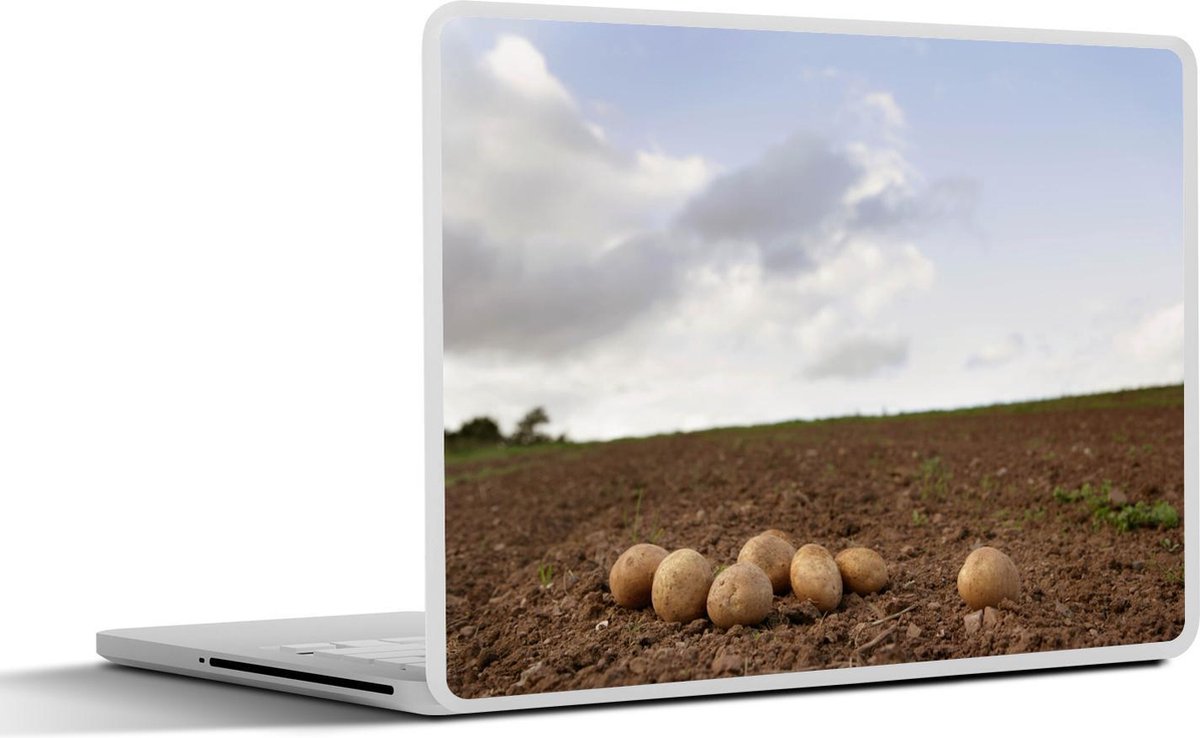 Laptop sticker - 10.1 inch - Aardappelen op de grond in een weiland