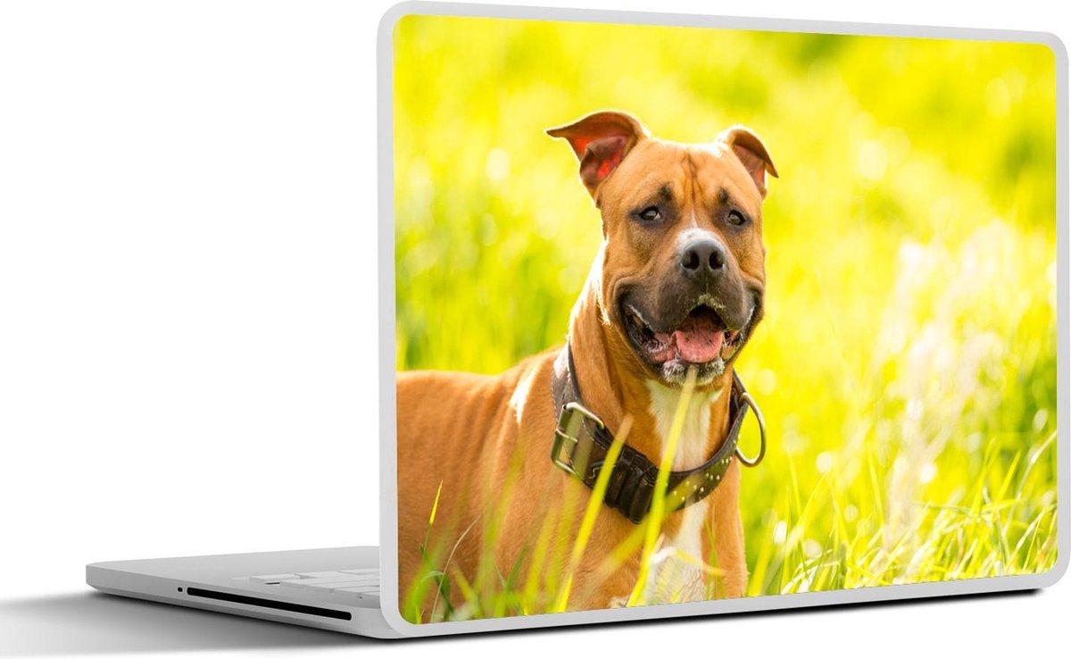 Laptop sticker - 10.1 inch -  een Amerikaanse staffordshire terriër in het hoge gras