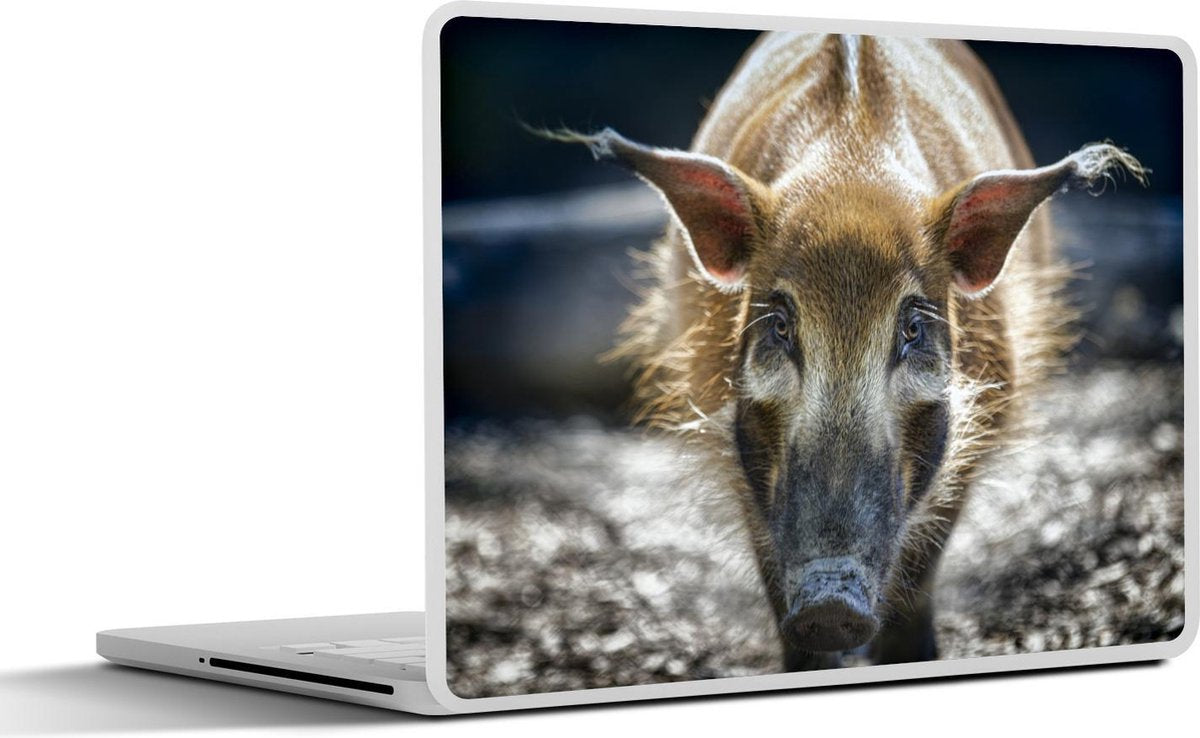 Laptop sticker - 10.1 inch -  een Penseelzwijn