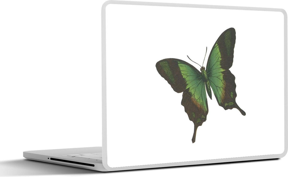 Laptop sticker - 10.1 inch - Illustratie van een groen met zwarte vlinder