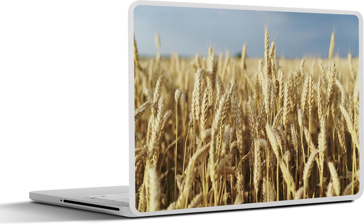 Laptop sticker - 10.1 inch - Illustratie van een granenveld onder een donkere lucht