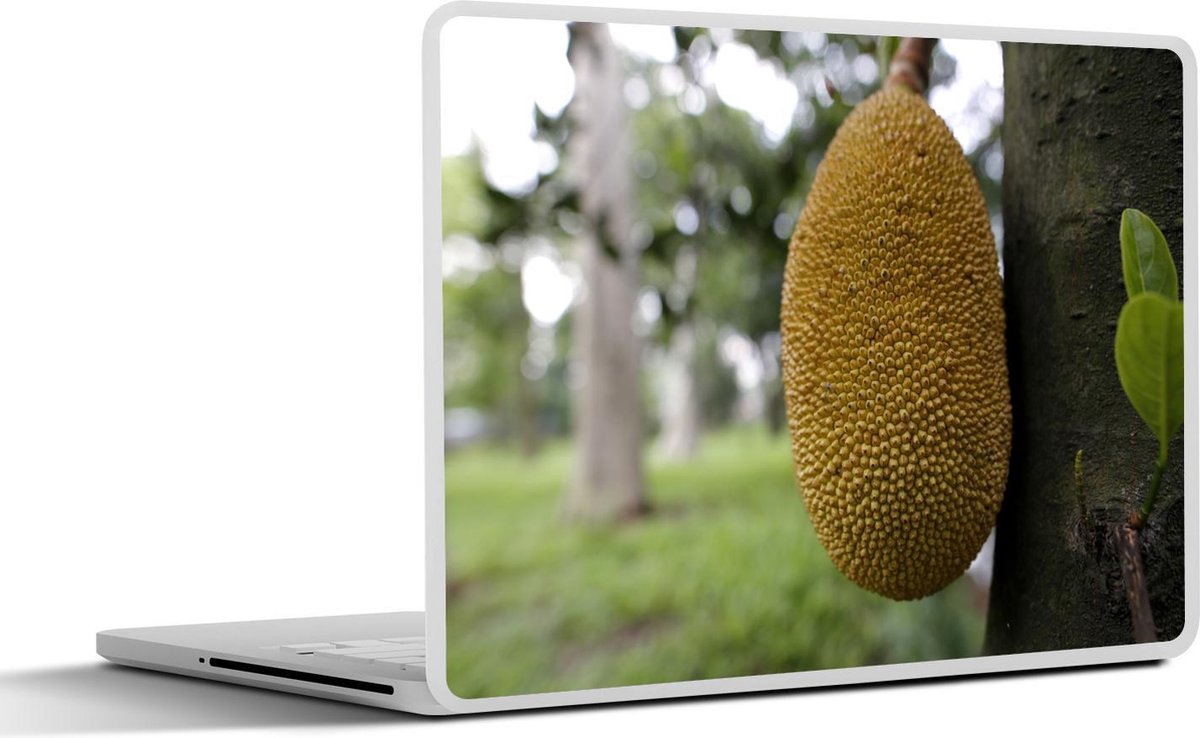 Laptop sticker - 10.1 inch - Jackfruit aan een boom in Bangladesh