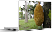 Laptop sticker - 10.1 inch - Jackfruit aan een boom in Bangladesh