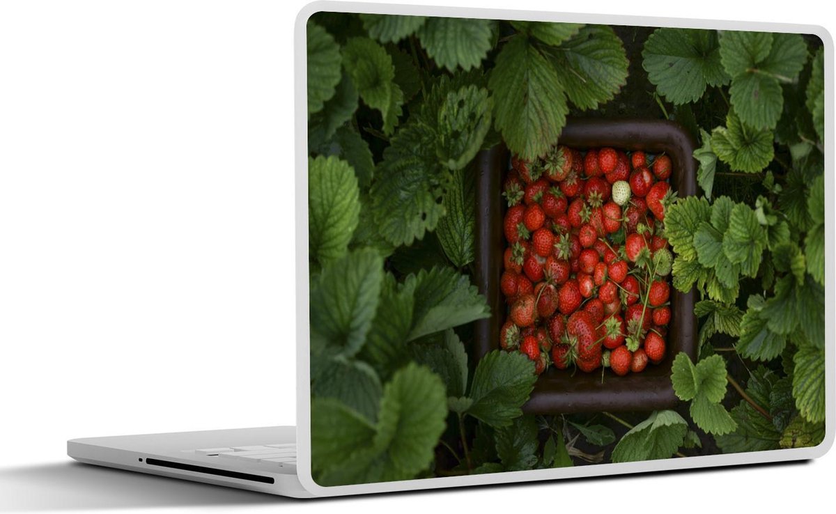 Laptop sticker - 10.1 inch - Aardbeien in een mand tussen de aardbeiplanten