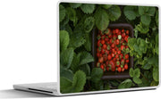 Laptop sticker - 10.1 inch - Aardbeien in een mand tussen de aardbeiplanten