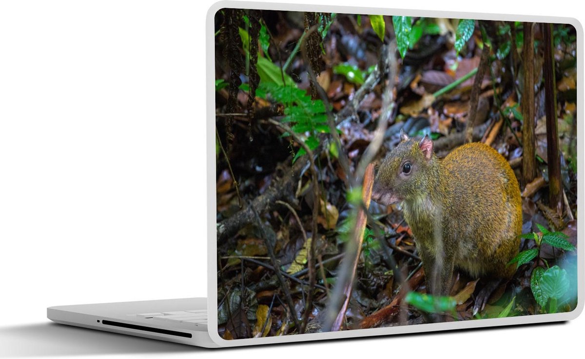 Laptop sticker - 10.1 inch - Agoeti onder de natte bomen