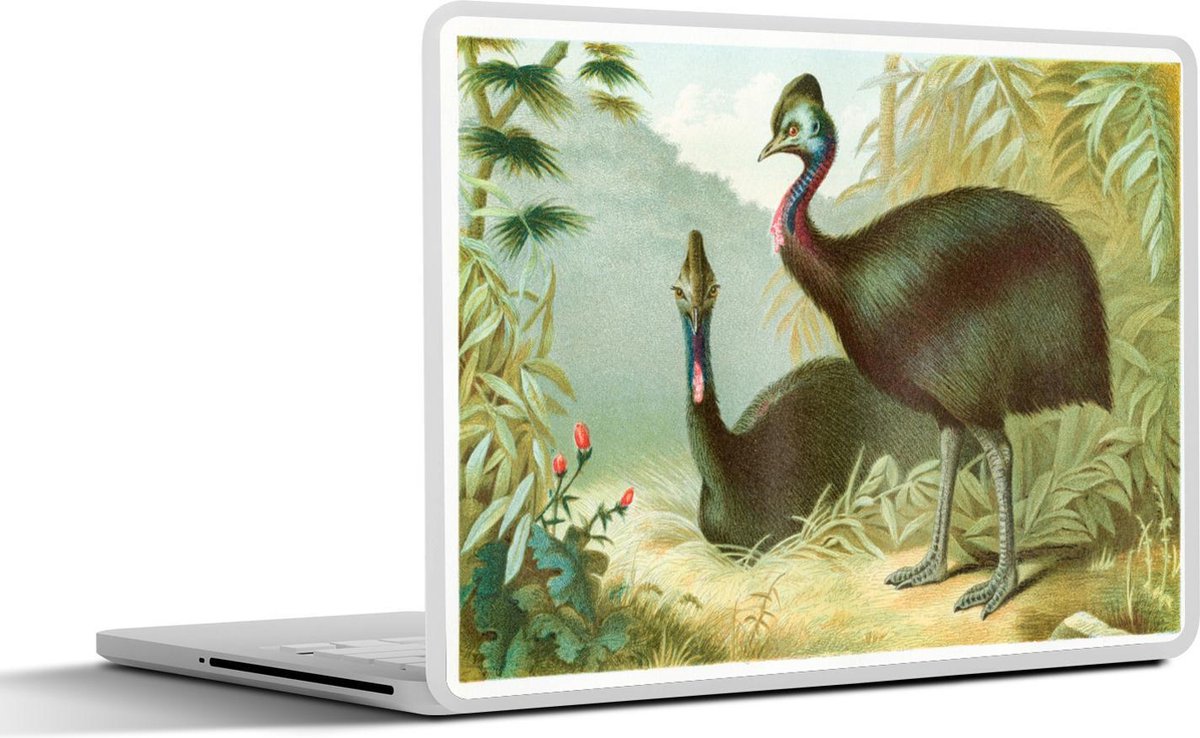 Laptop sticker - 10.1 inch - Illustratie van een casuarius