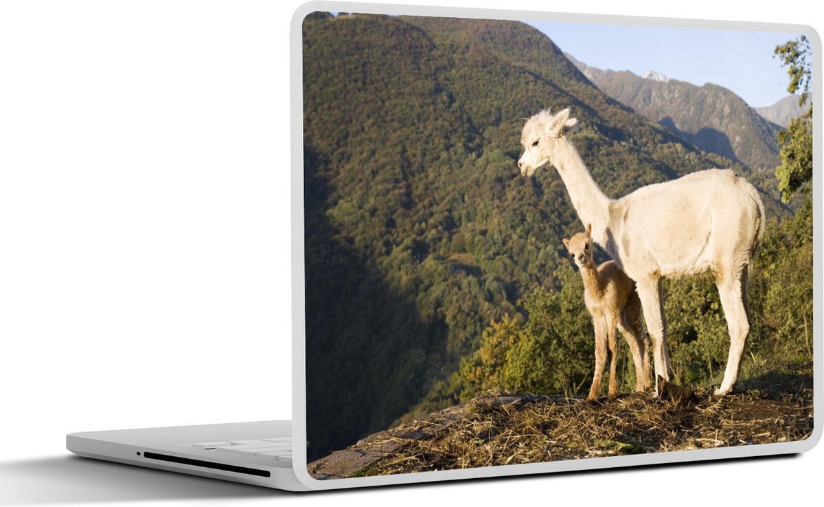 Laptop sticker - 10.1 inch - Alpaca's in de bergen