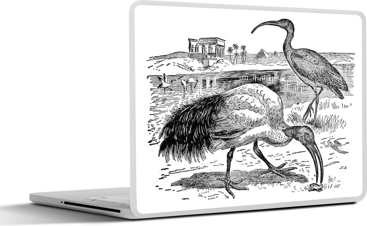 Laptop sticker - 10.1 inch - Illustratie van twee ibissen in zwart-wit