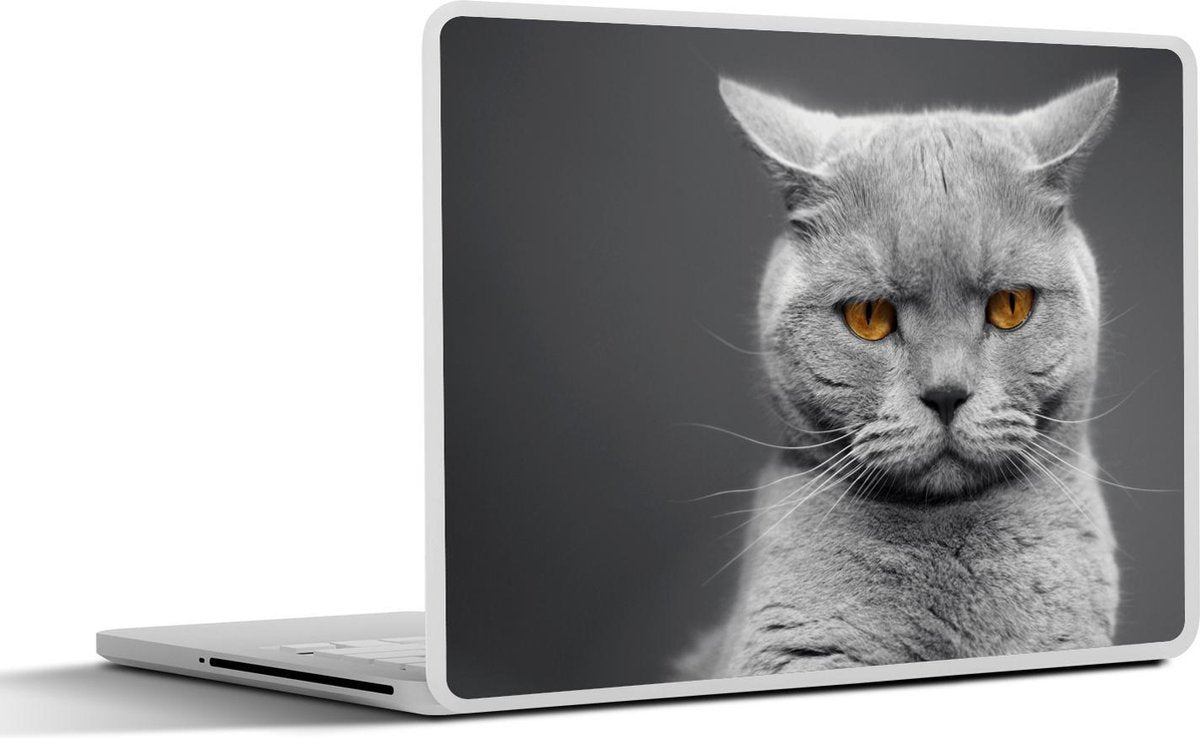 Laptop sticker - 10.1 inch - Amerikaanse Korthaar kat met oranje ogen