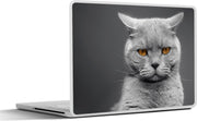 Laptop sticker - 10.1 inch - Amerikaanse Korthaar kat met oranje ogen
