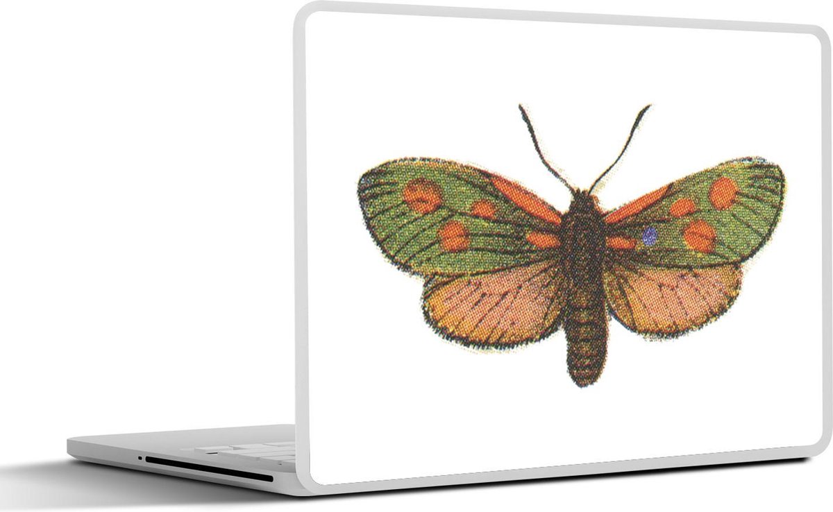 Laptop sticker - 10.1 inch - Illustratie van een groen met oranje vlinder