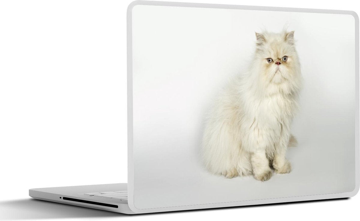 Laptop sticker - 10.1 inch -  een Perzische kat