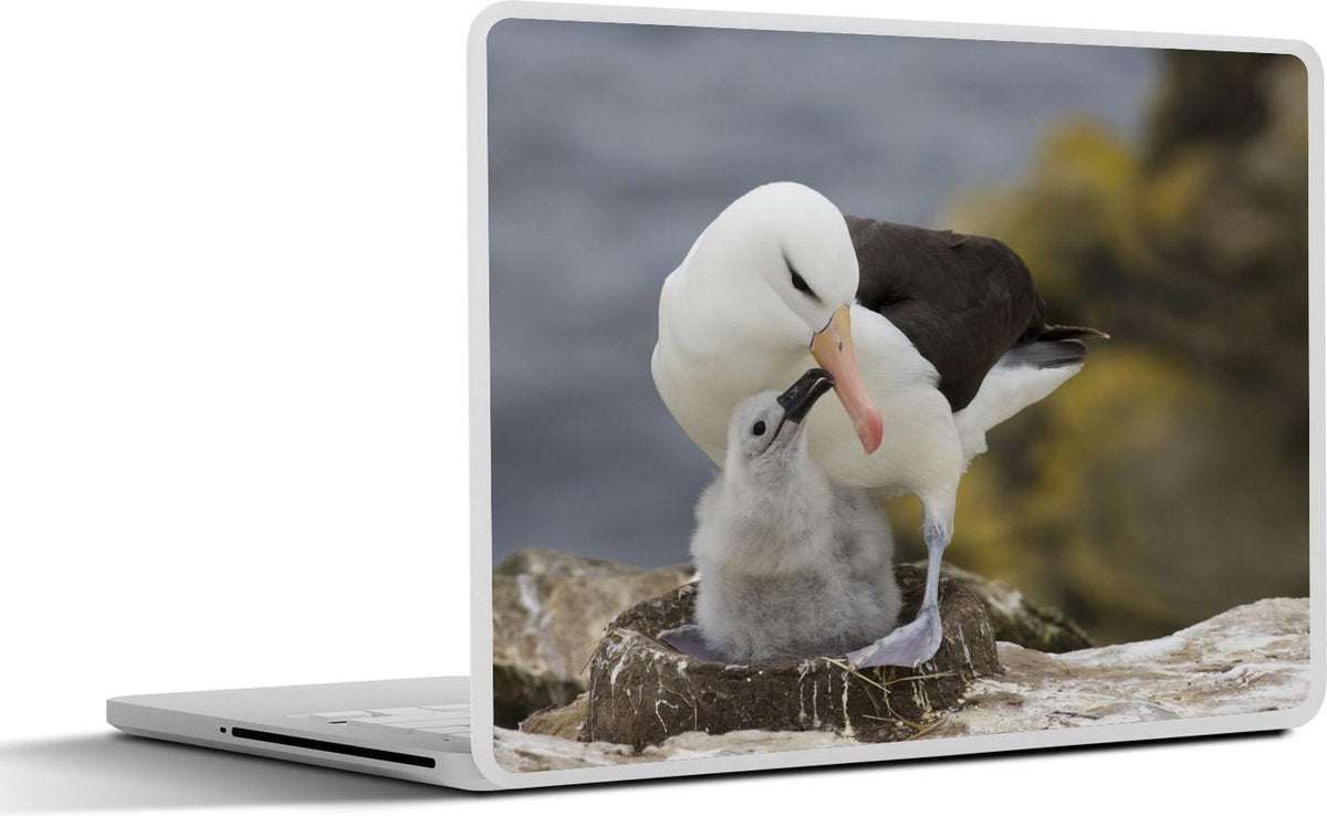 Laptop sticker - 10.1 inch - Albatros met kuiken