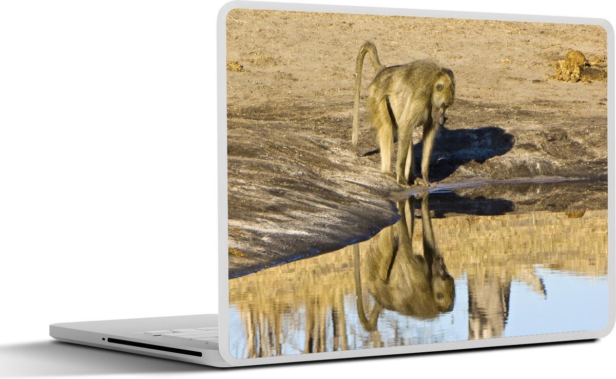 Laptop sticker - 10.1 inch - Aap kijkt in het water