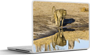 Laptop sticker - 10.1 inch - Aap kijkt in het water