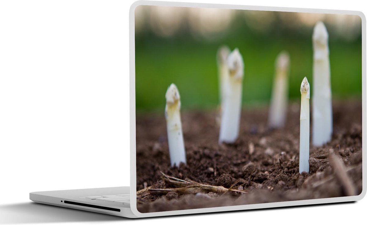 Laptop sticker - 10.1 inch - Italiaanse witte asperges die aan het groeien zijn