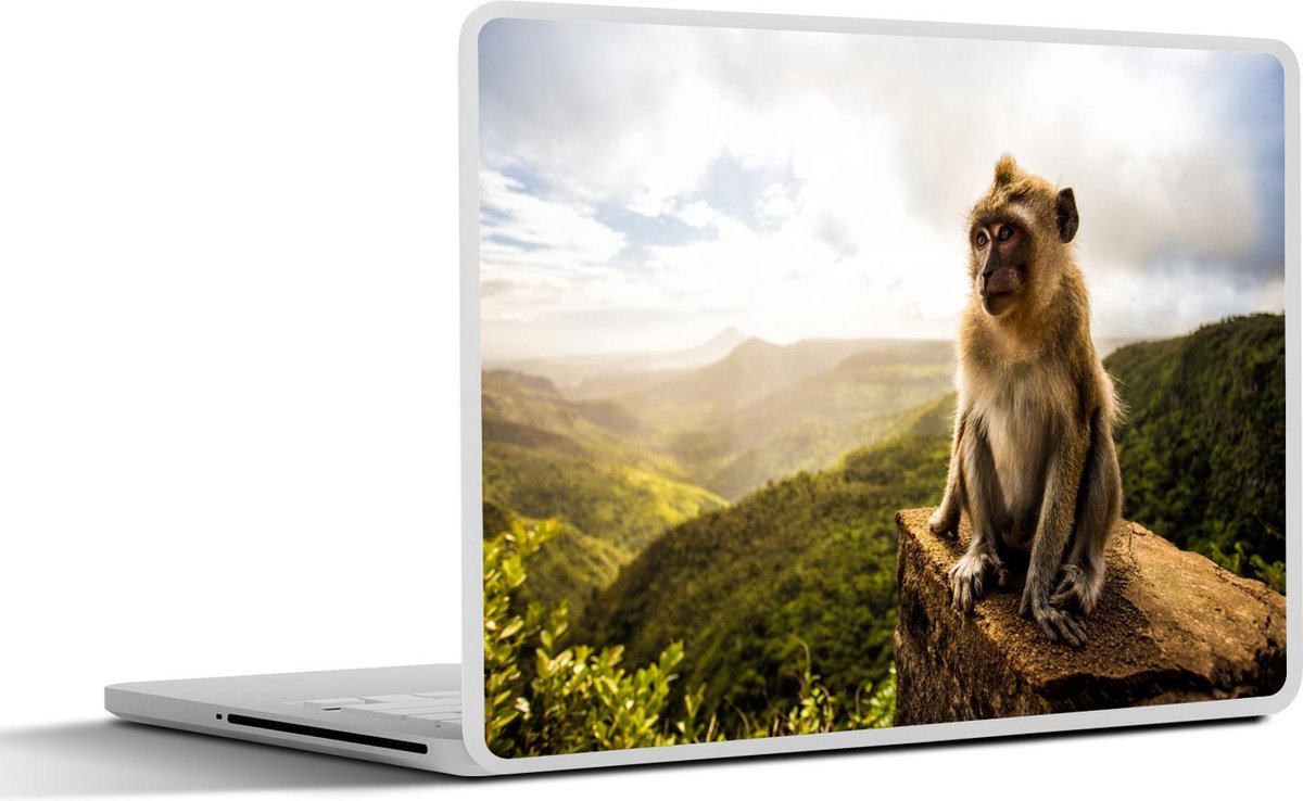 Laptop sticker - 10.1 inch - Aap op Mauritius
