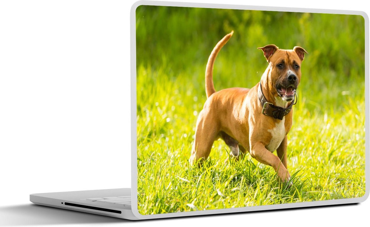 Laptop sticker - 10.1 inch - Amerikaanse staffordshire terriër in het groene gras