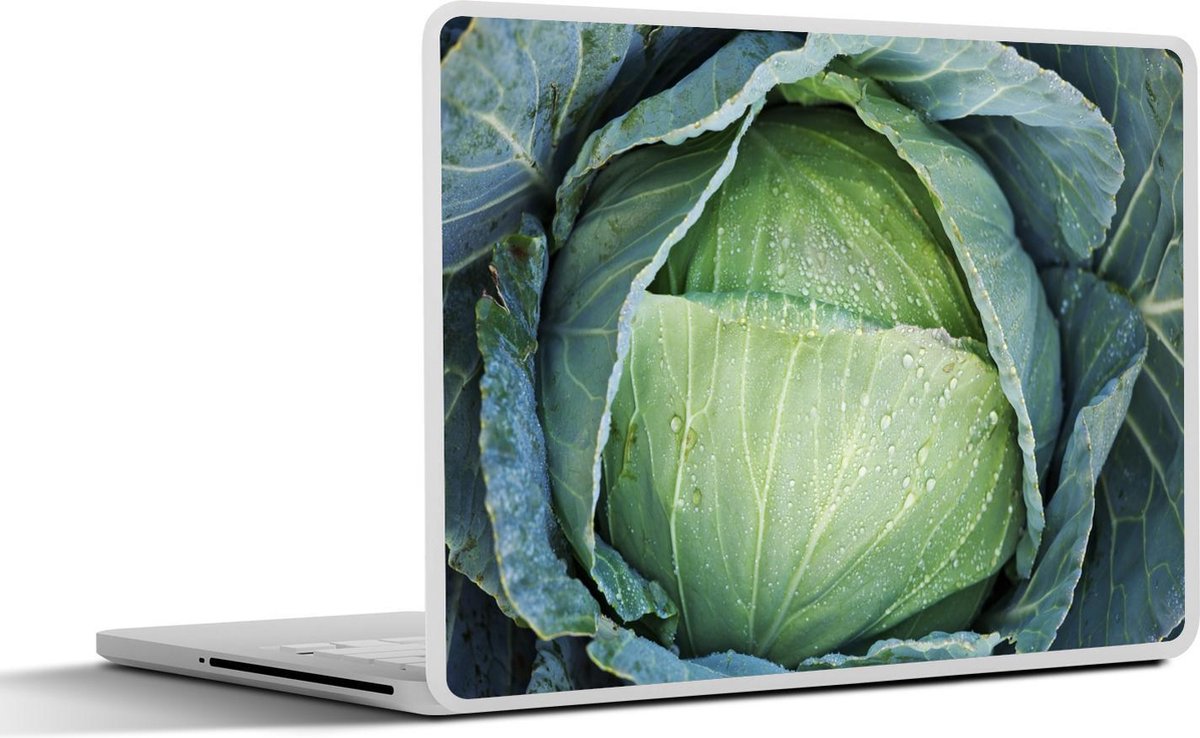 Laptop sticker - 10.1 inch - In elkaar gevouwen bladeren van een groene kool