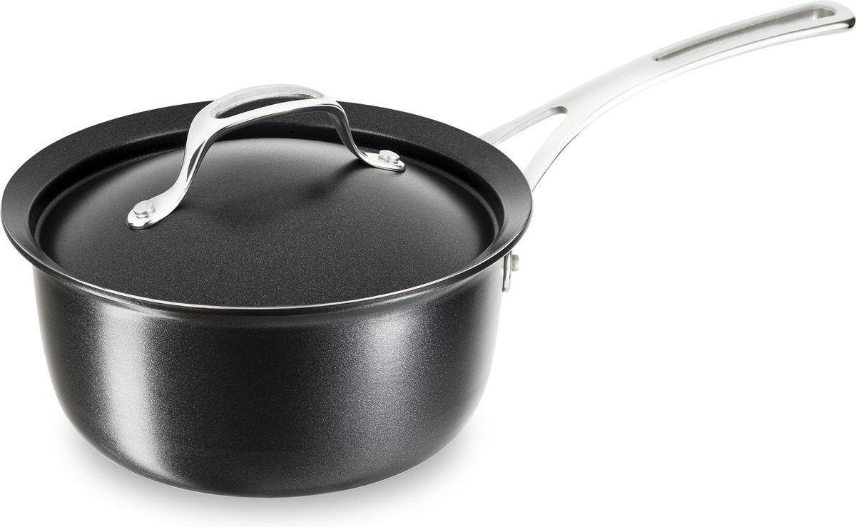 Tefal Experiences Steelpan 20 cm